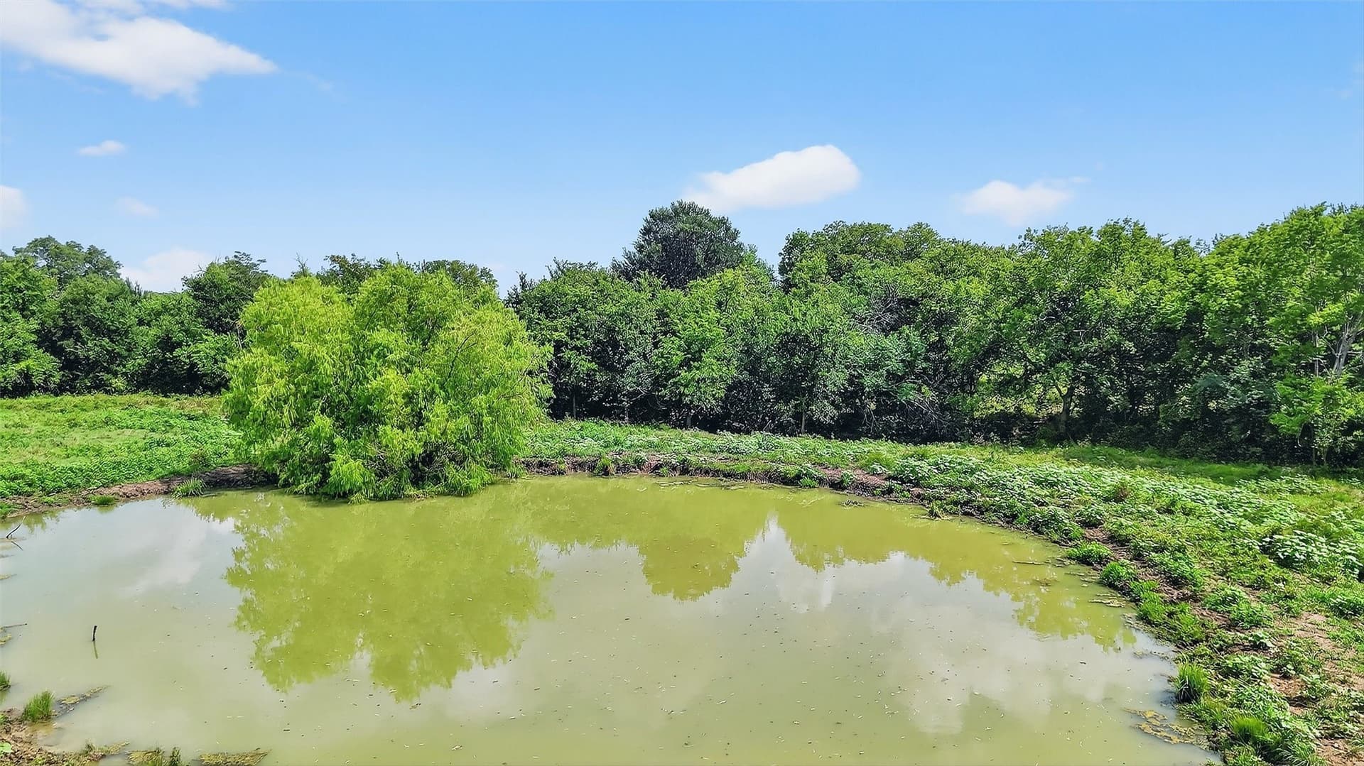 74.09 acres in Grayson County - photo 13
