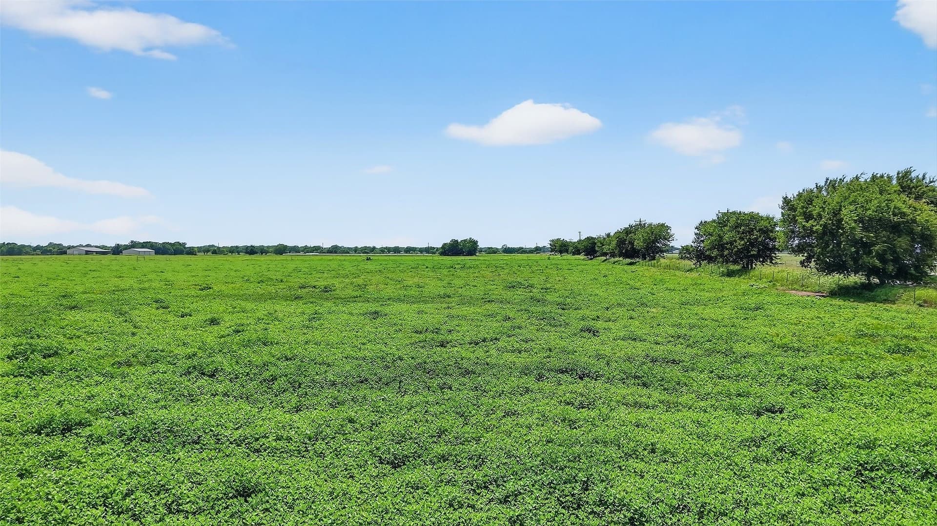 74.09 acres in Grayson County - photo 7