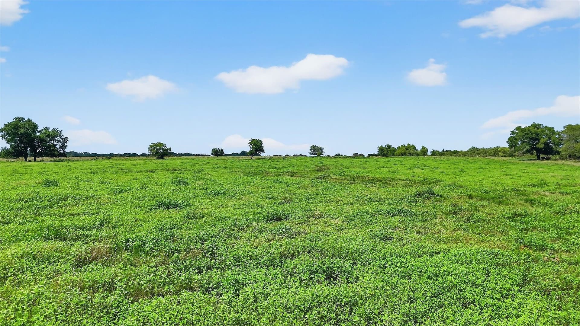 74.09 acres in Grayson County - photo 24