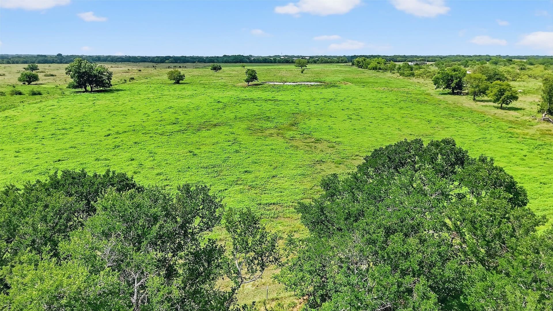 74.09 acres in Grayson County - photo 23