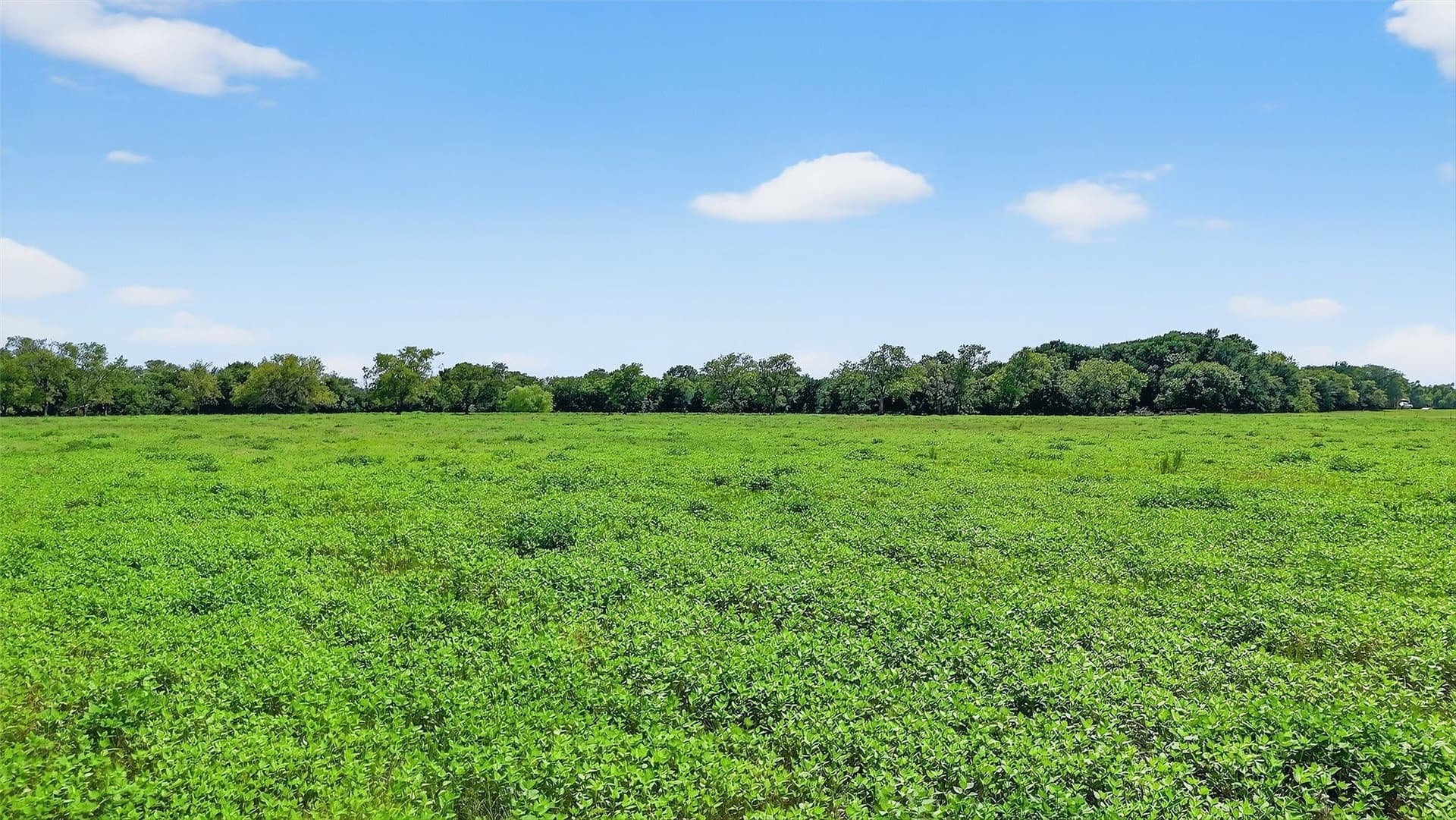 74.09 acres in Grayson County - photo 8
