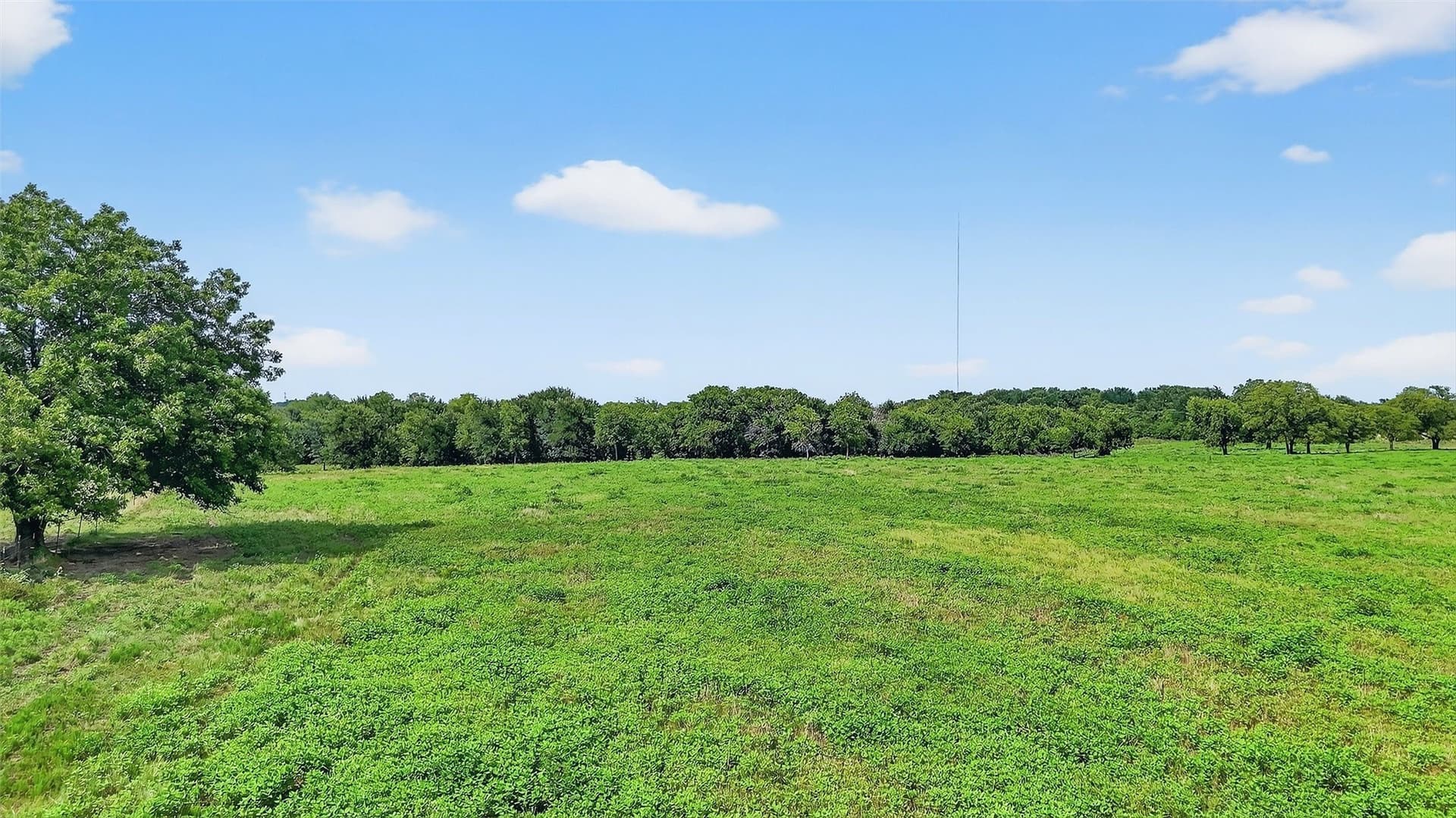 74.09 acres in Grayson County - photo 28