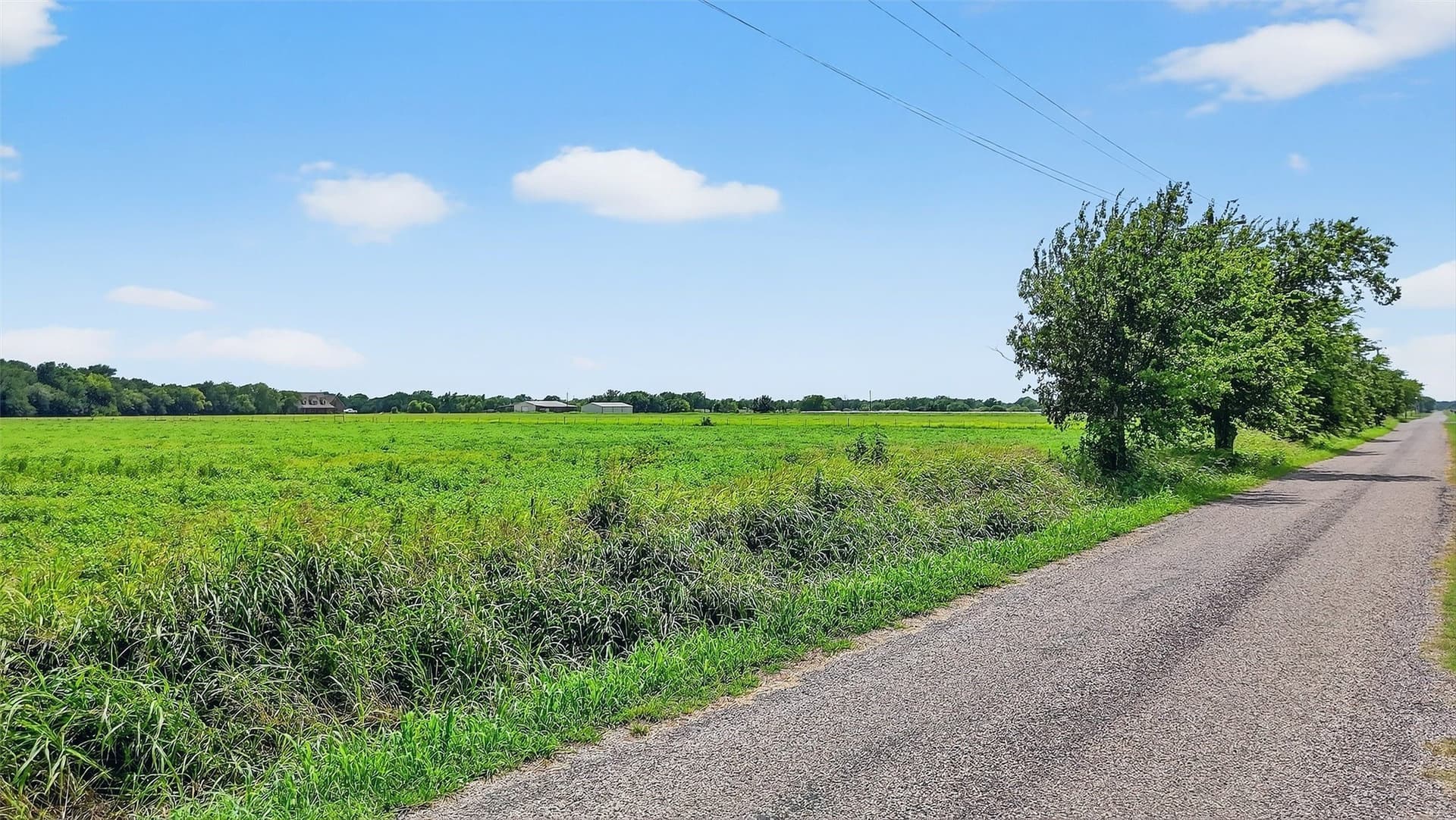 74.09 acres in Grayson County - photo 6