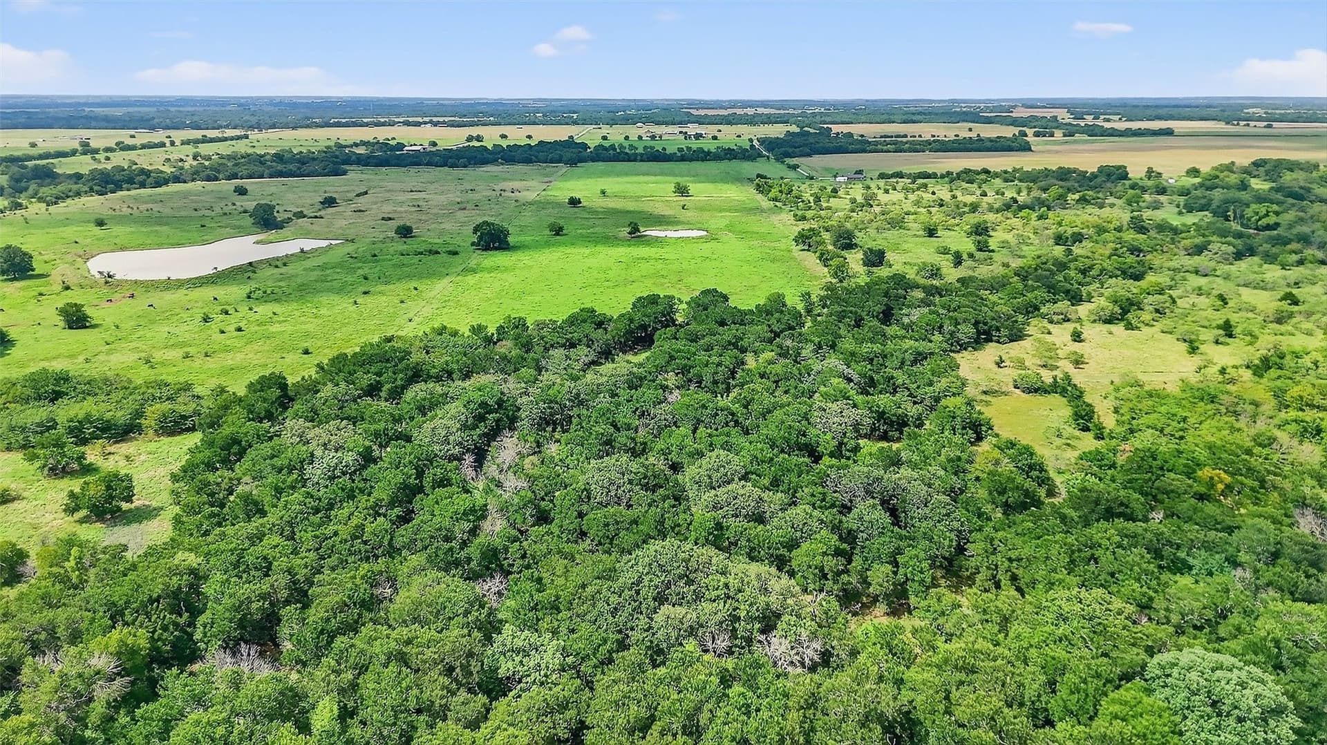 74.09 acres in Grayson County - photo 20