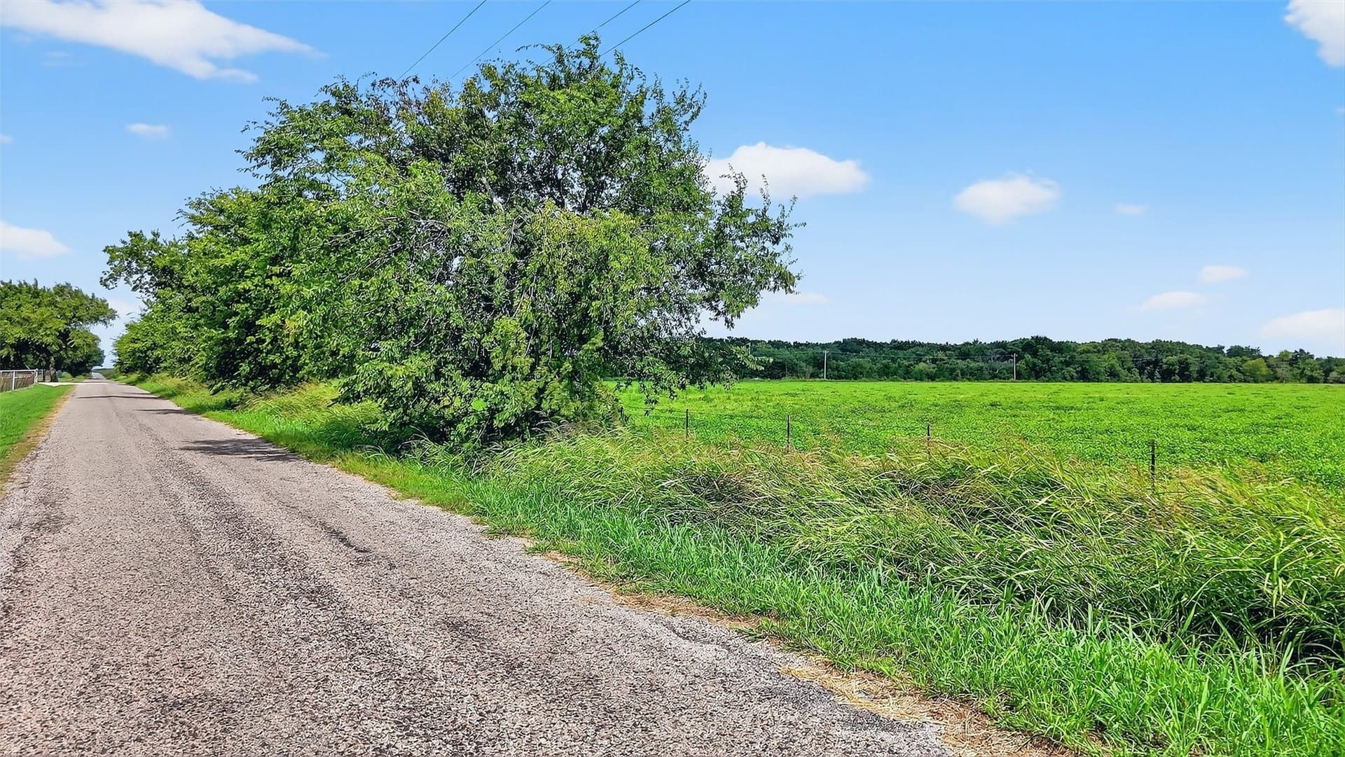 74.09 acres in Grayson County featured view