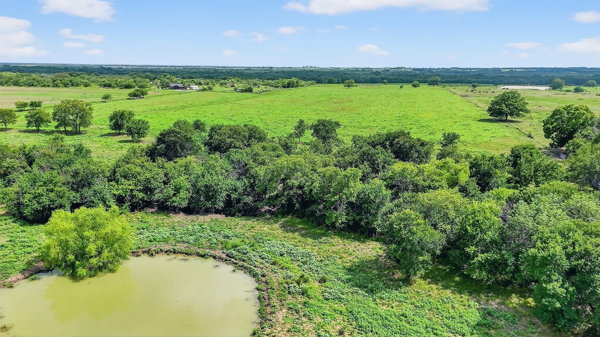74.09 acres in Grayson County - photo 12
