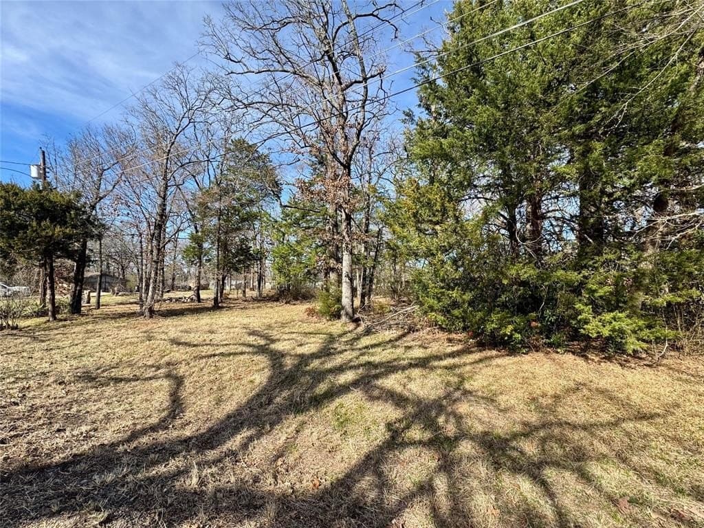 0.27 acres in Van Zandt County gallery image 4