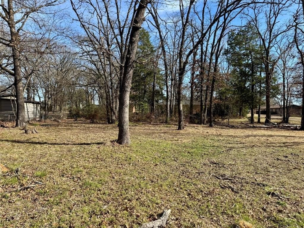 0.27 acres in Van Zandt County gallery image 2