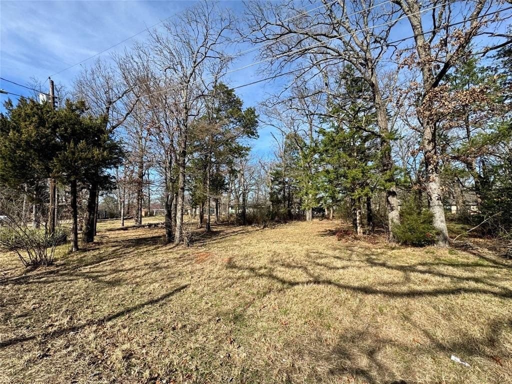 0.27 acres in Van Zandt County gallery image 3