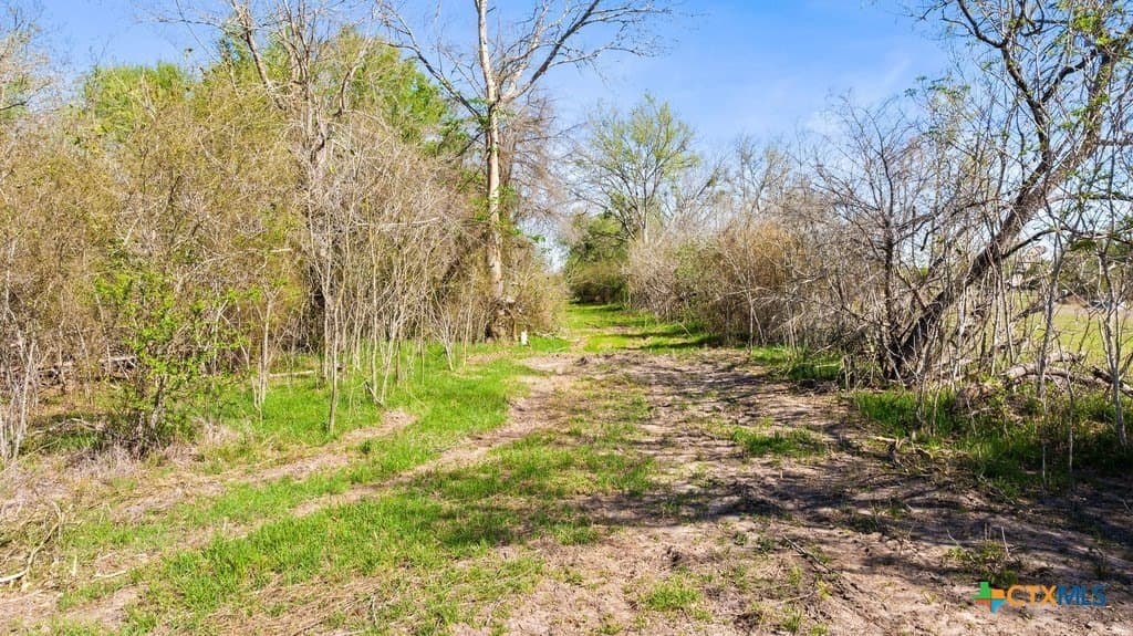 17.56 acres in Fayette County - photo 24