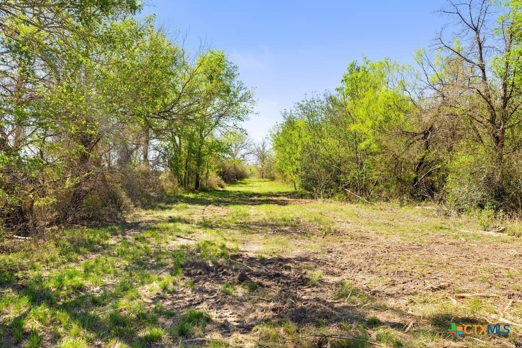 17.56 acres in Fayette County - photo 38