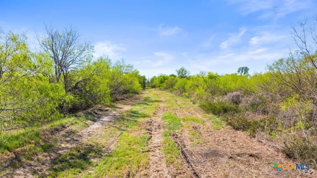 17.56 acres in Fayette County - photo 4