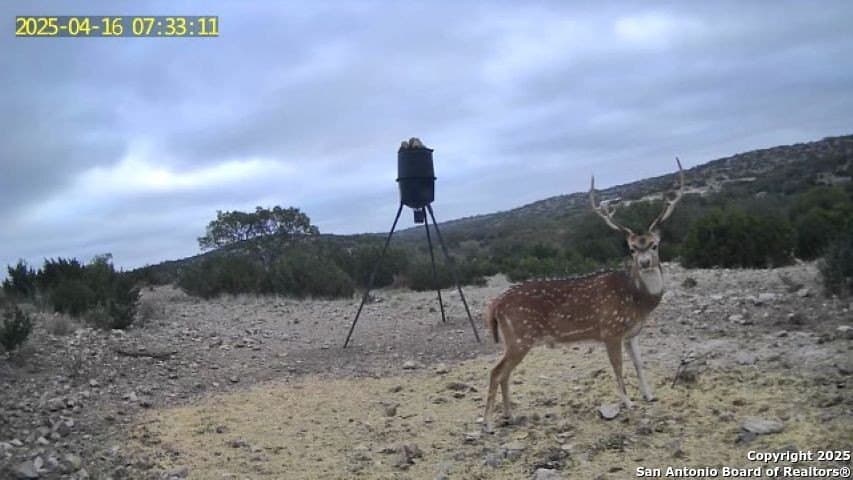 41 acres in Edwards County