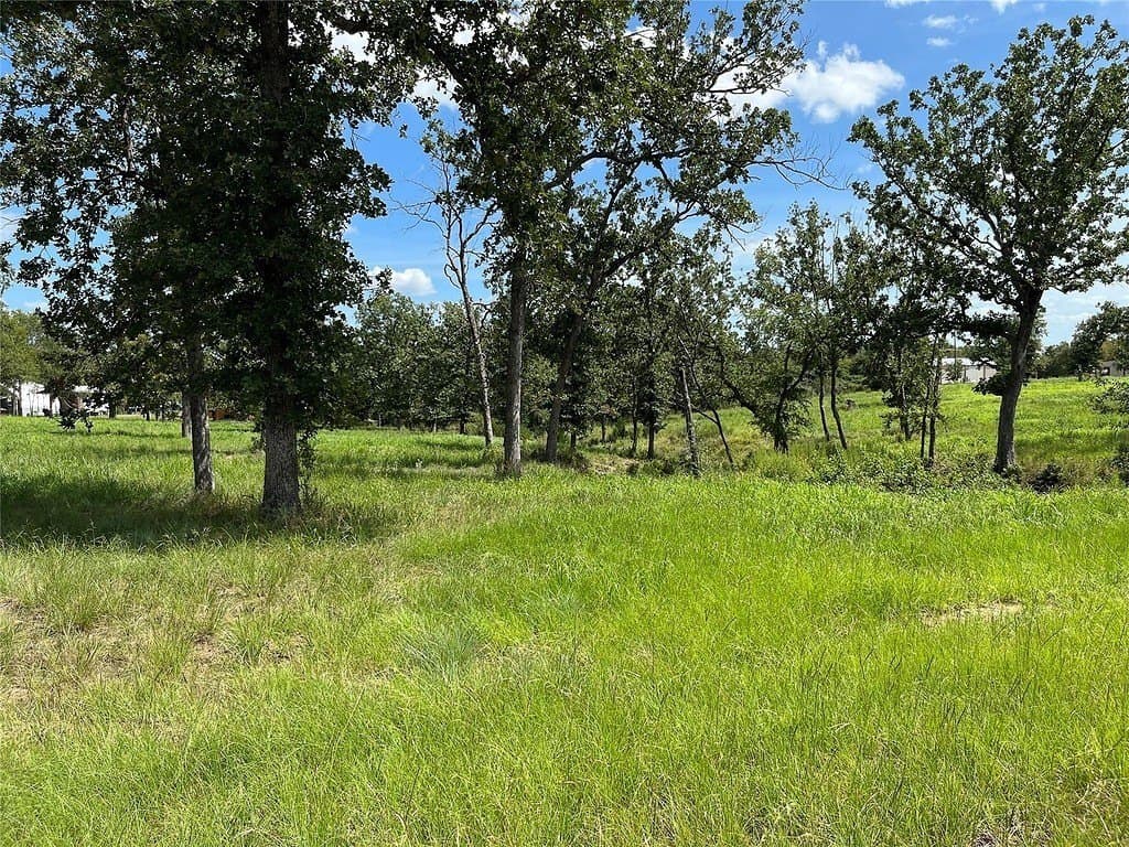 4.71 acres in Limestone County - photo 4