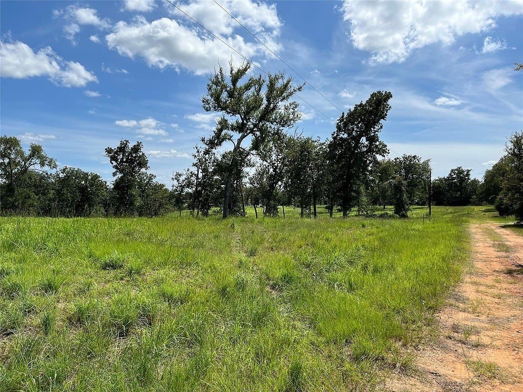 4.71 acres in Limestone County - photo 2