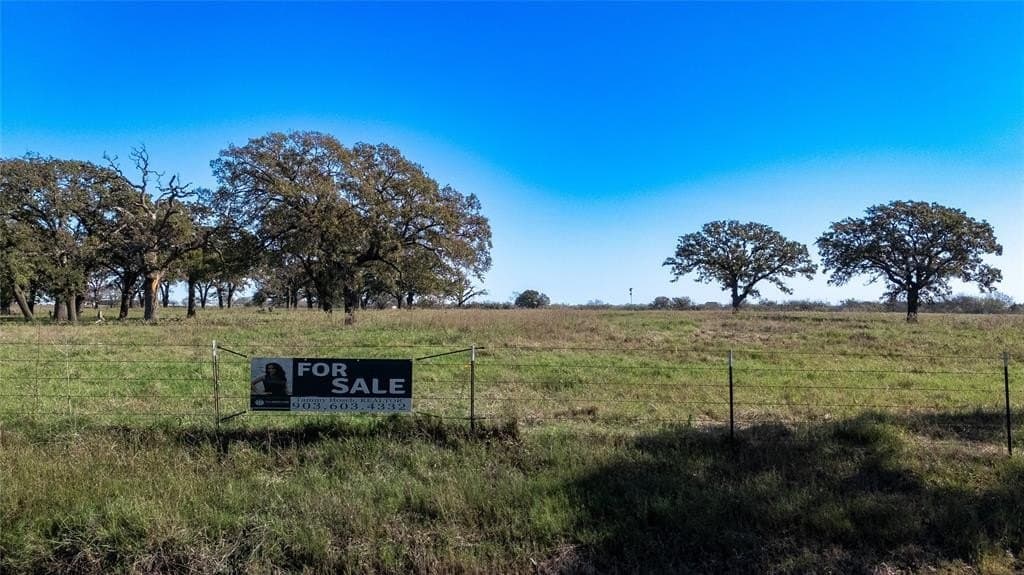 20 acres in Kaufman County gallery image 2