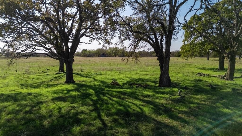 20 acres in Kaufman County gallery image 4