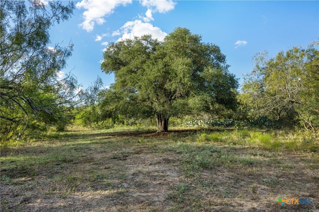 132.1 acres in Caldwell County - photo 10