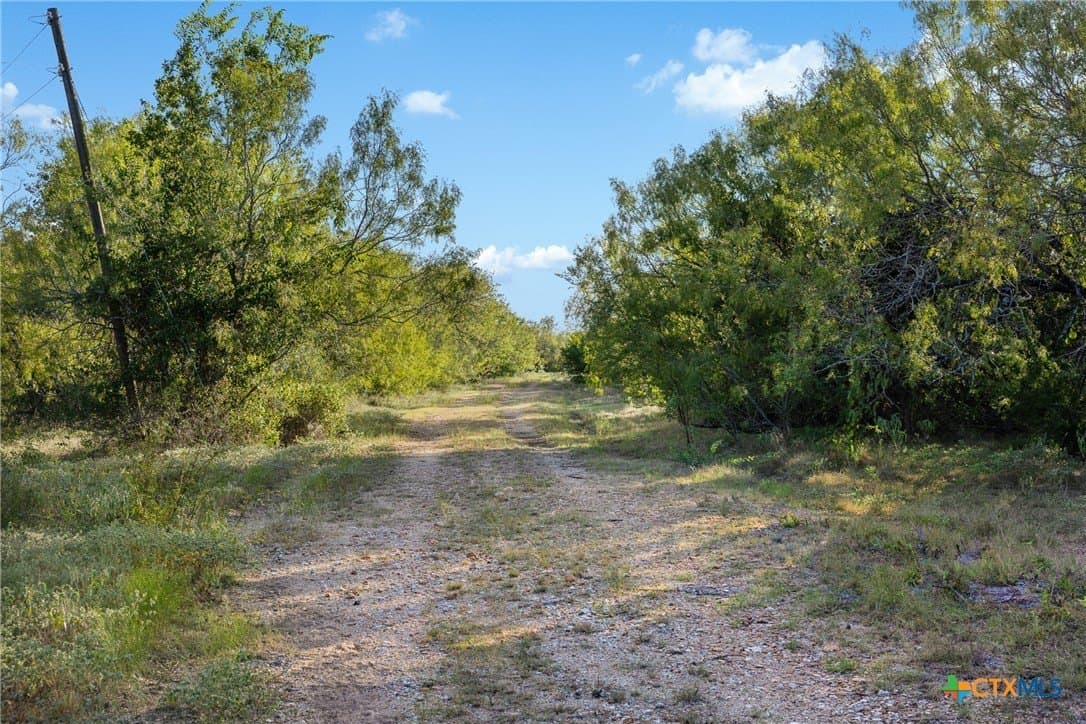 132.1 acres in Caldwell County - photo 21