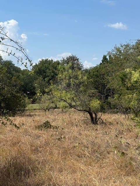 0.26 acres in Hill County - photo 2