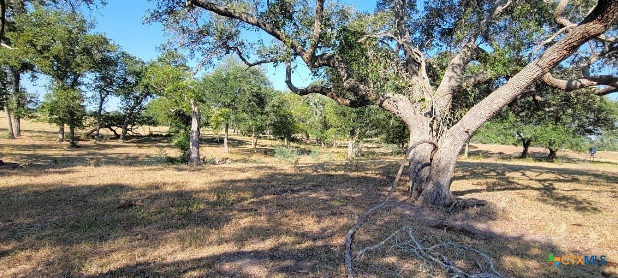 24.48 acres in Lavaca County - photo 18