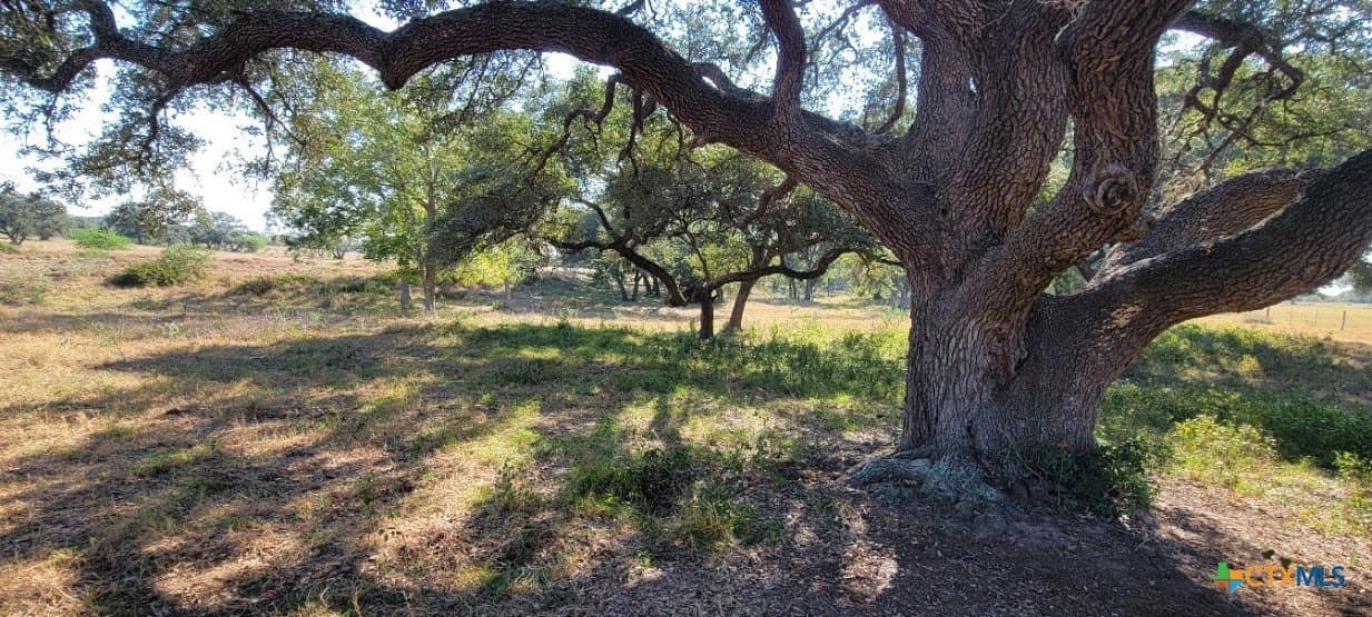 24.48 acres in Lavaca County - photo 22