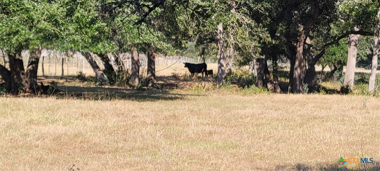 24.48 acres in Lavaca County - photo 20
