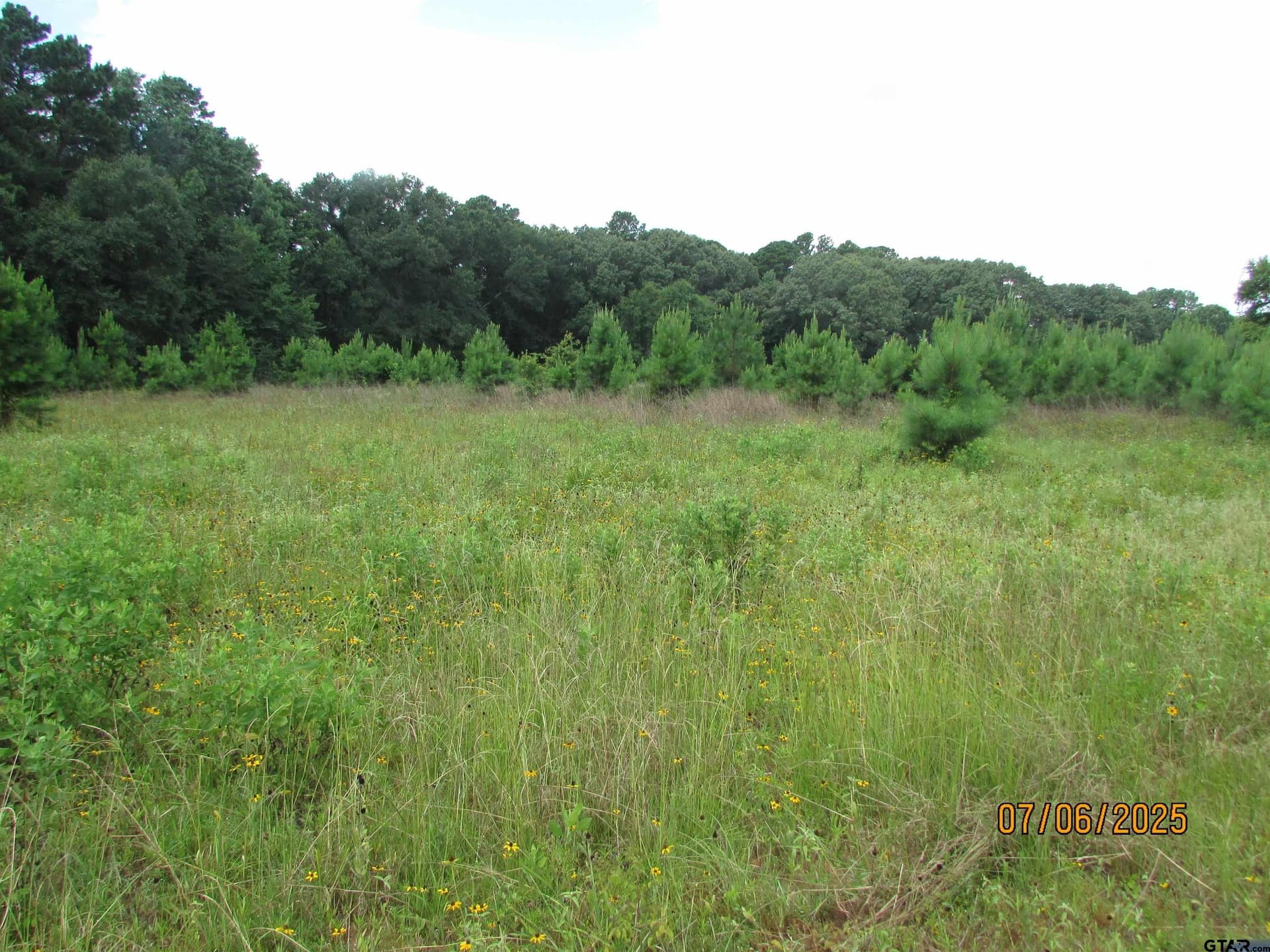 28.2 acres in Anderson County - photo 47