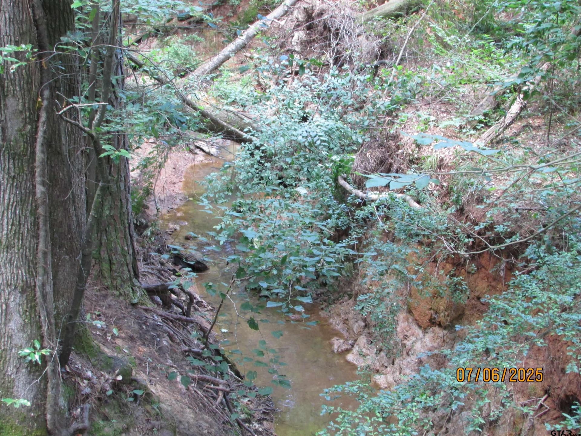 28.2 acres in Anderson County - photo 9