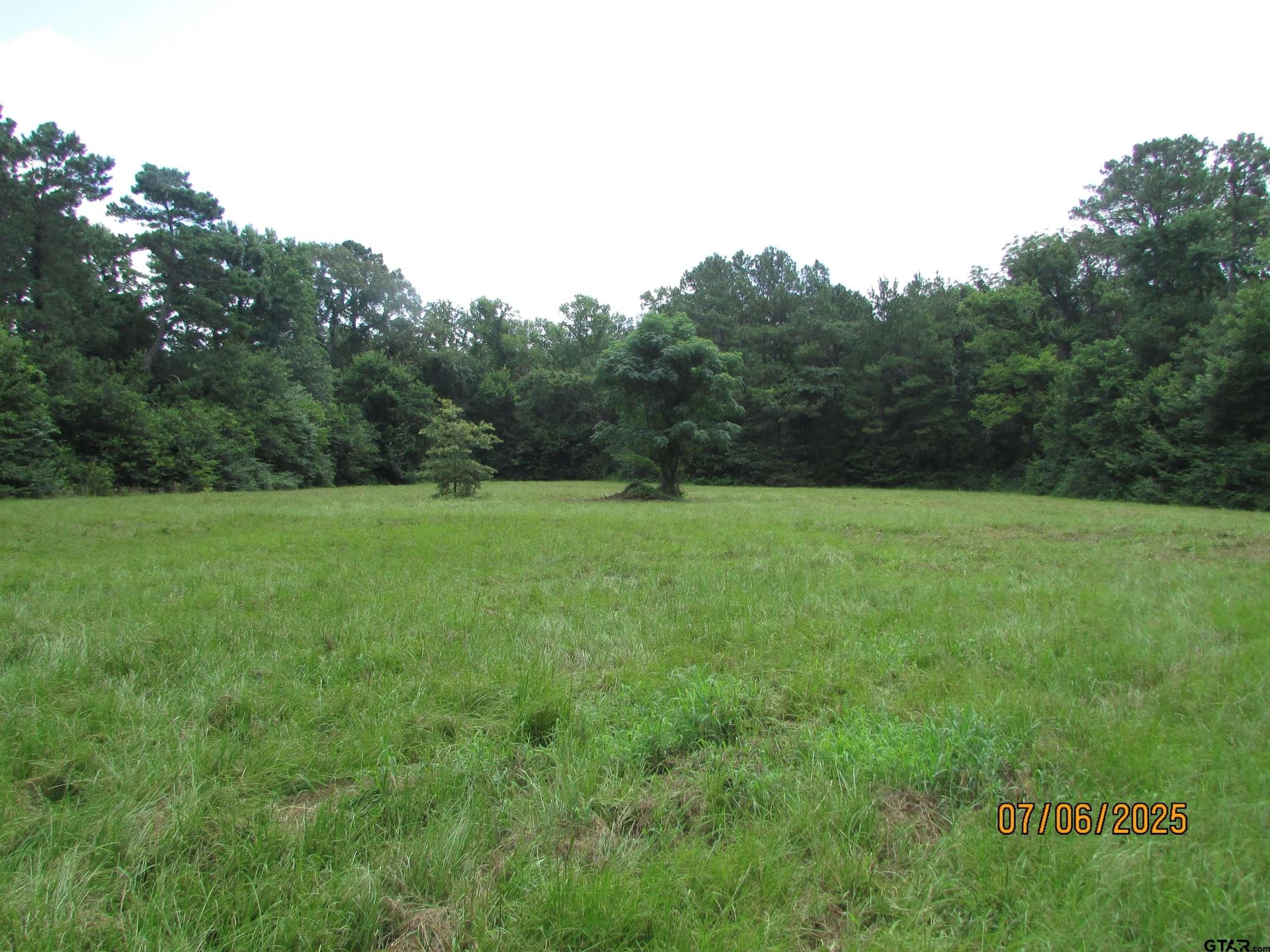 28.2 acres in Anderson County - photo 45