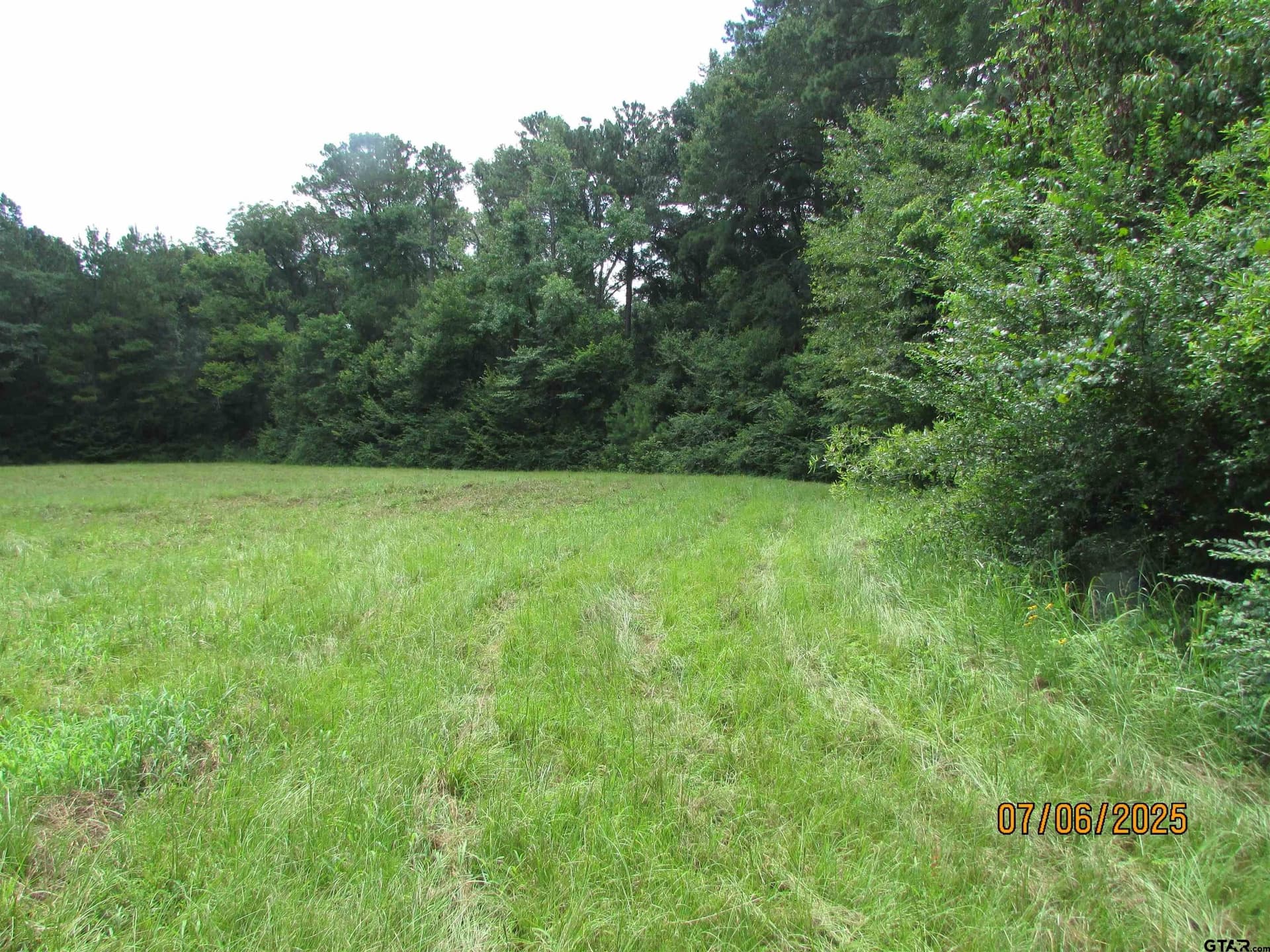 28.2 acres in Anderson County - photo 44