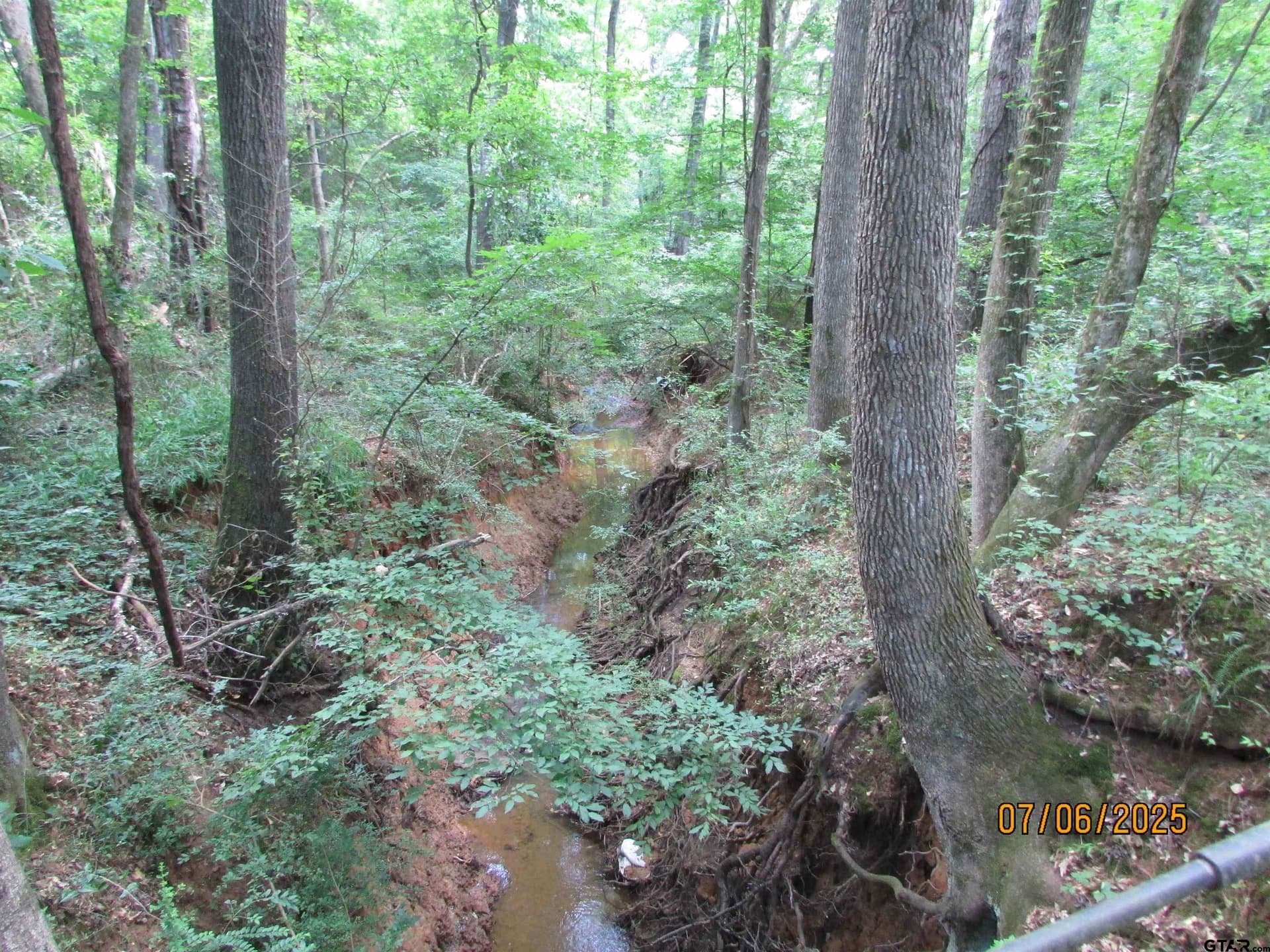 28.2 acres in Anderson County - photo 8