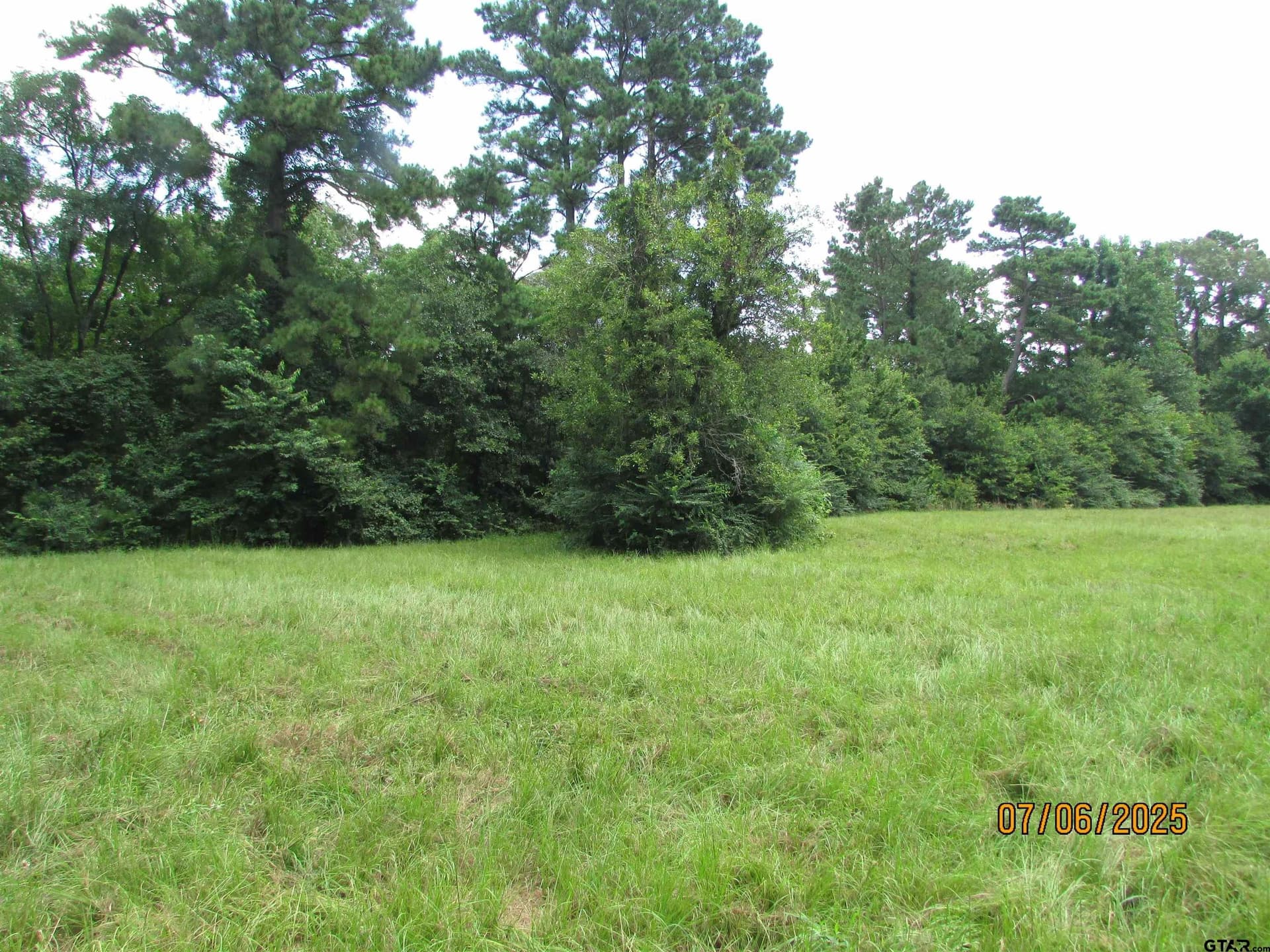28.2 acres in Anderson County - photo 46