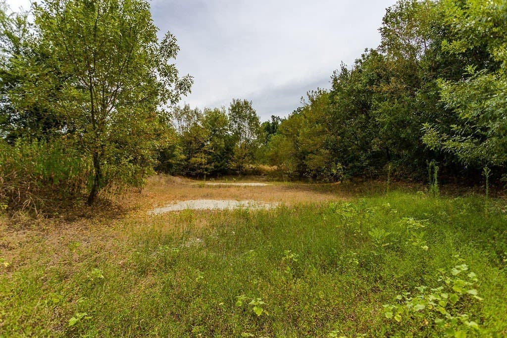 16.08 acres in Collin County - photo 29