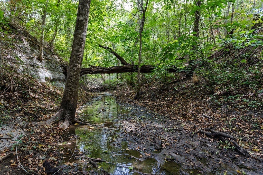 16.08 acres in Collin County - photo 4