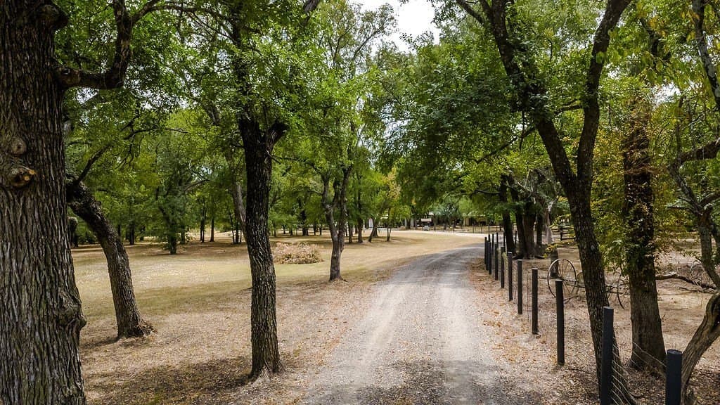 16.08 acres in Collin County - photo 24