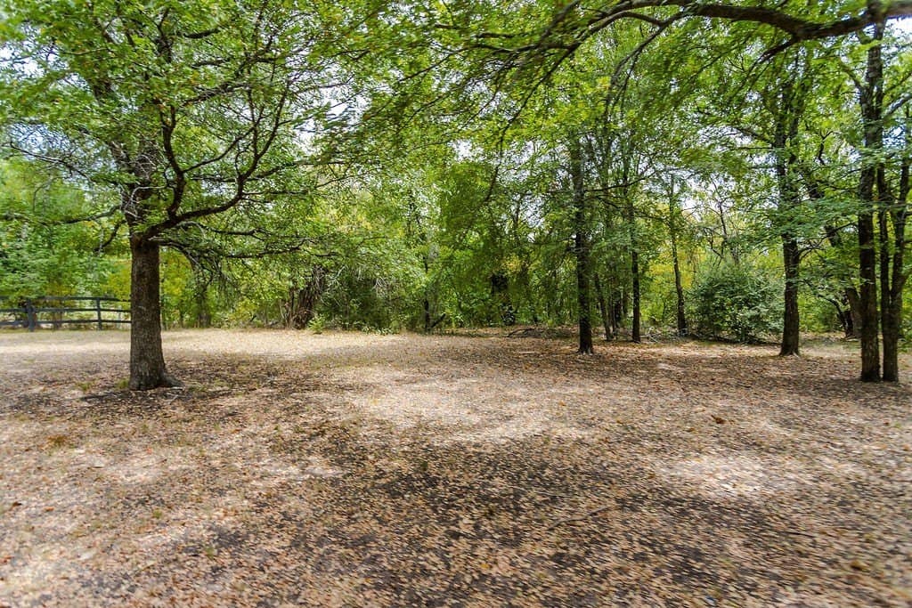 16.08 acres in Collin County - photo 34