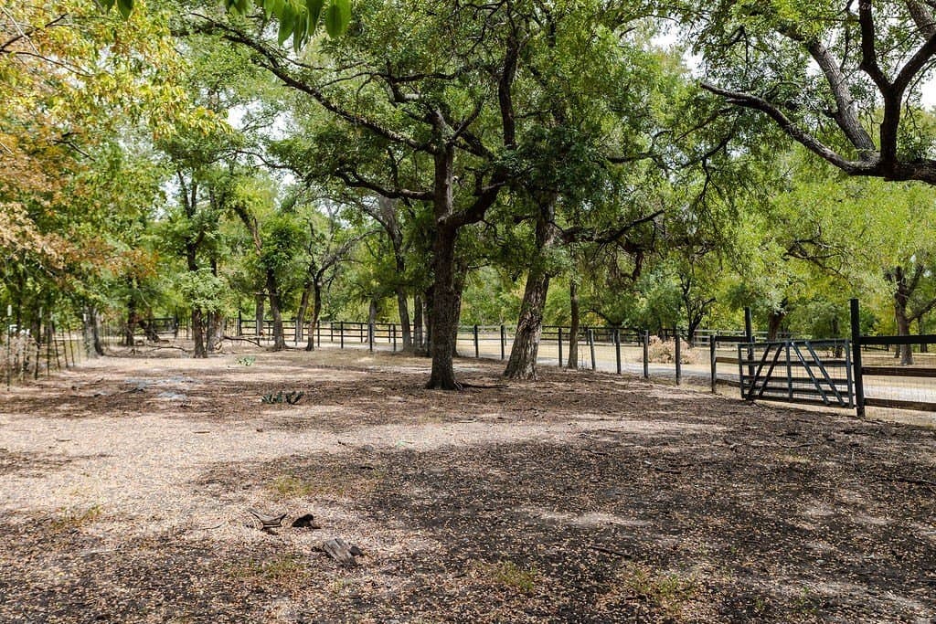 16.08 acres in Collin County - photo 26