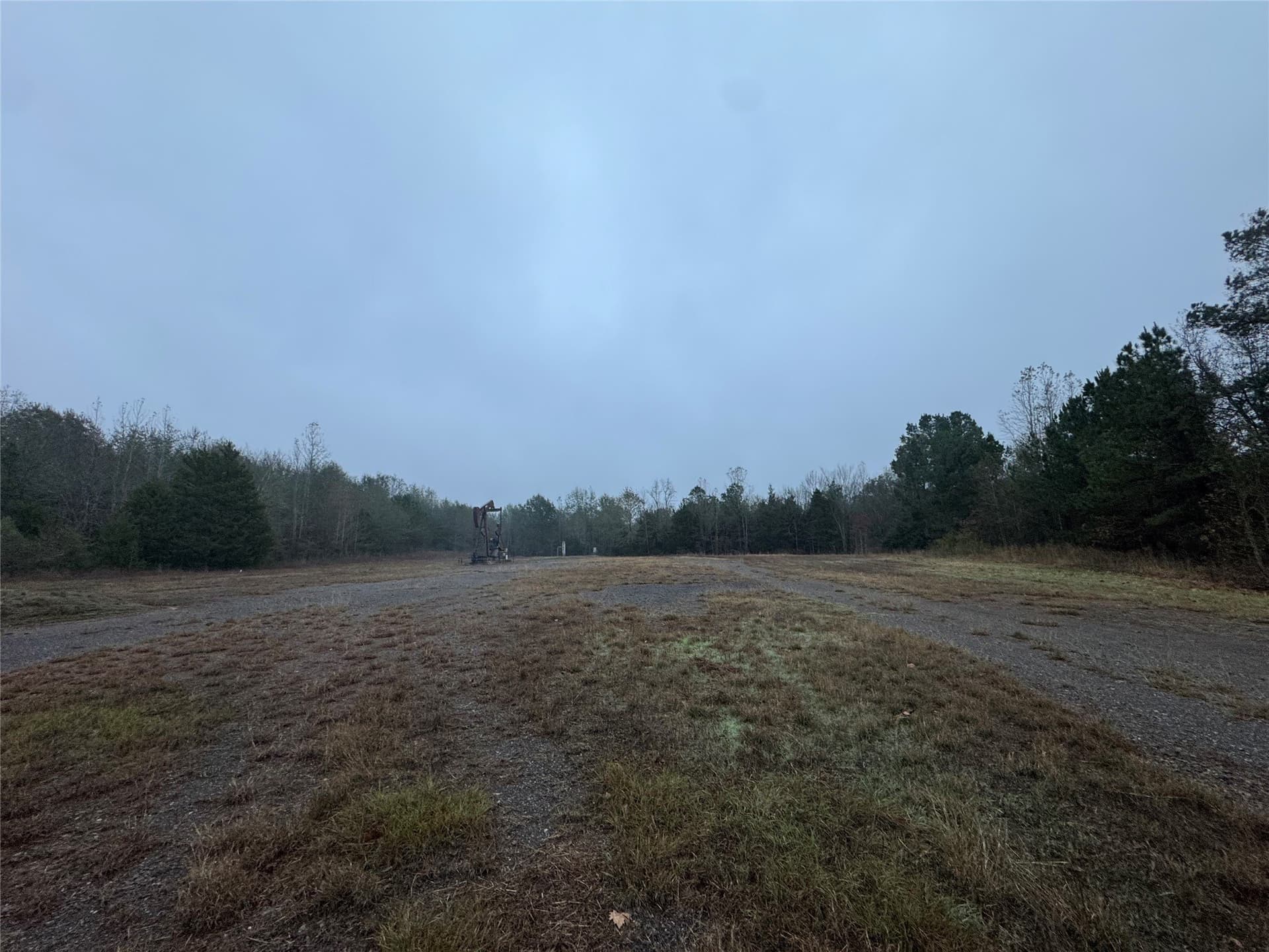 46.73 acres in Smith County gallery image 4