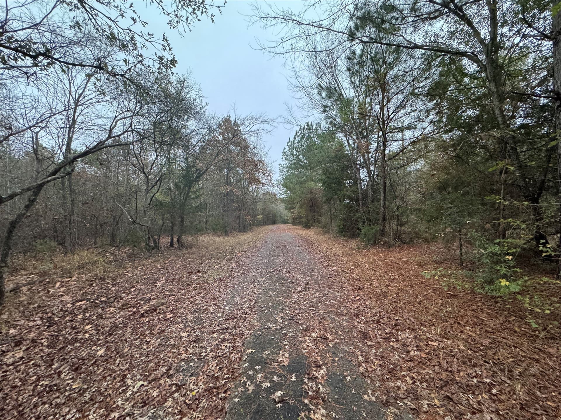 46.73 acres in Smith County gallery image 2