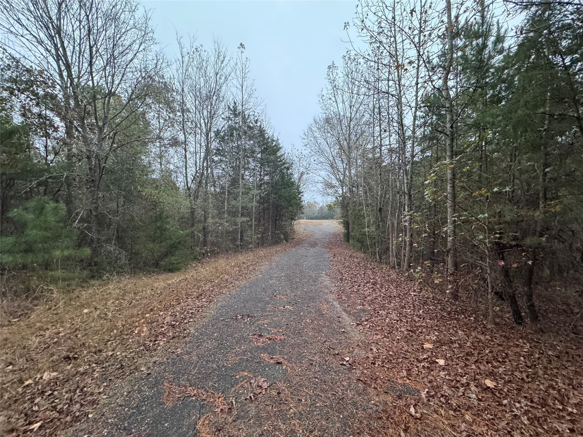 46.73 acres in Smith County gallery image 3