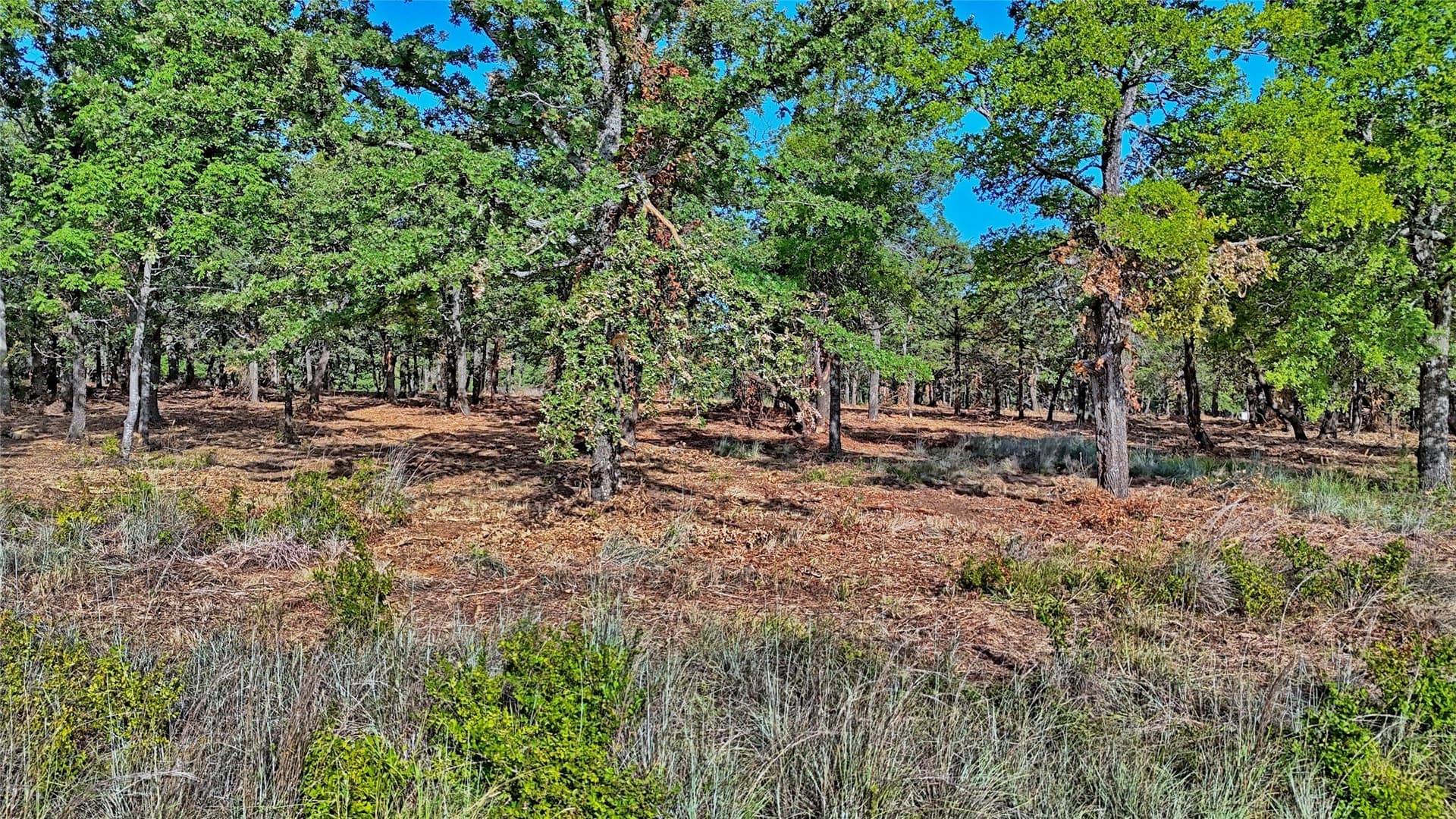 3 acres in Montague County - photo 2
