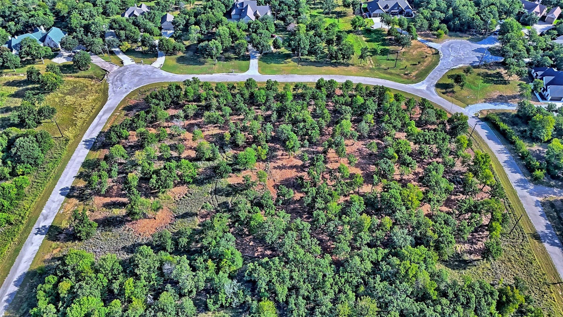 3 acres in Montague County - photo 4