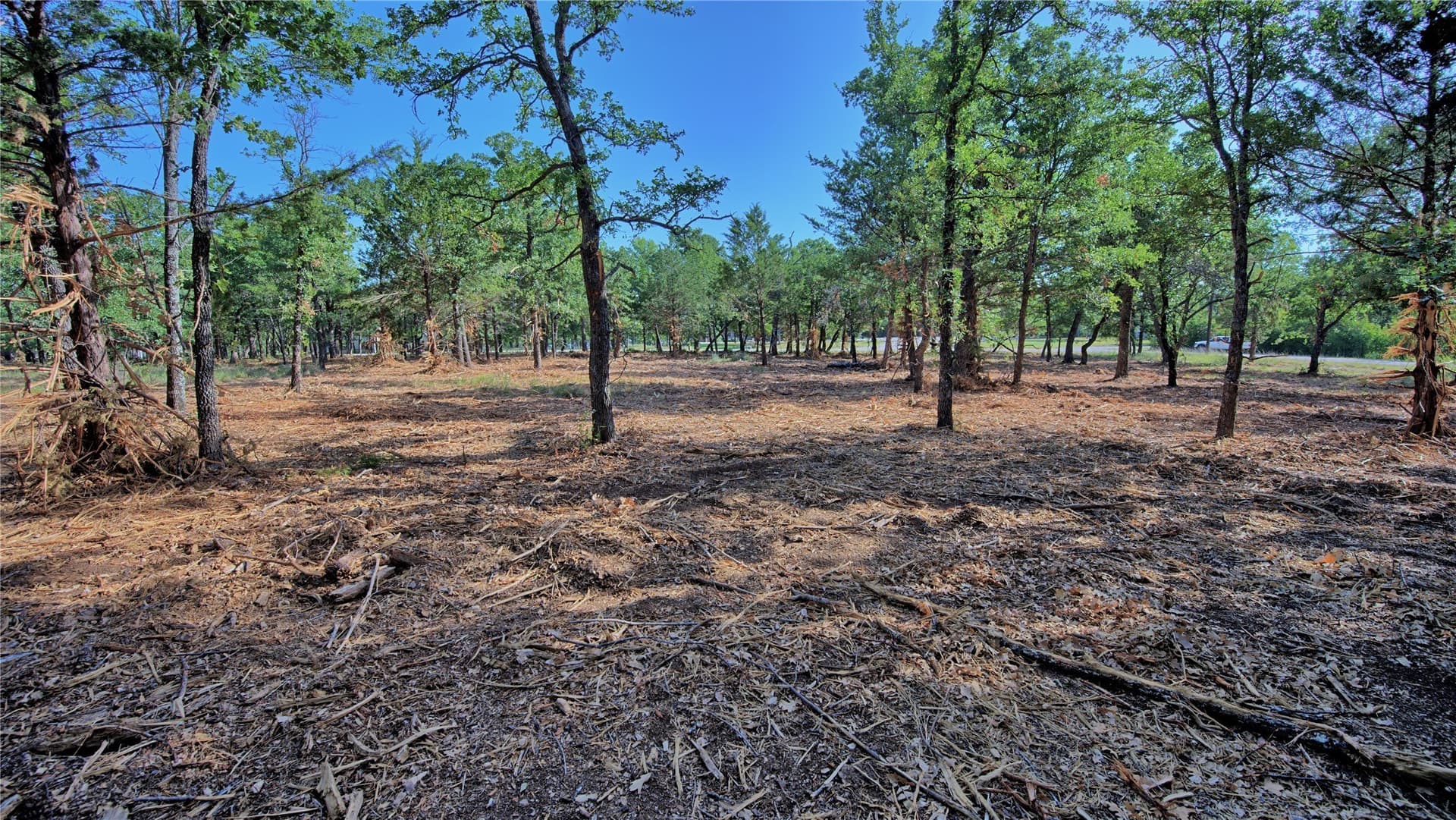 3 acres in Montague County - photo 23