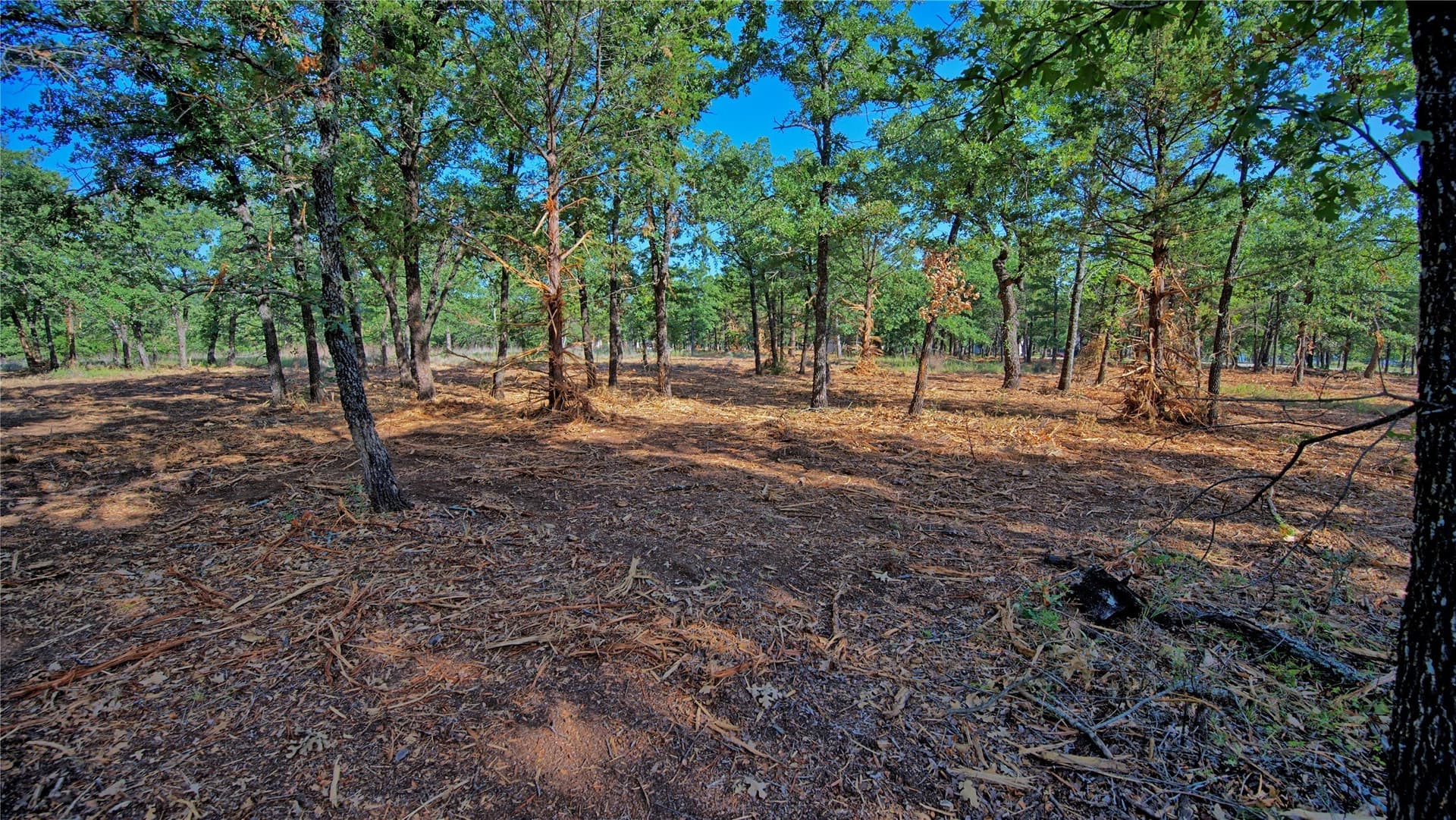 3 acres in Montague County - photo 5