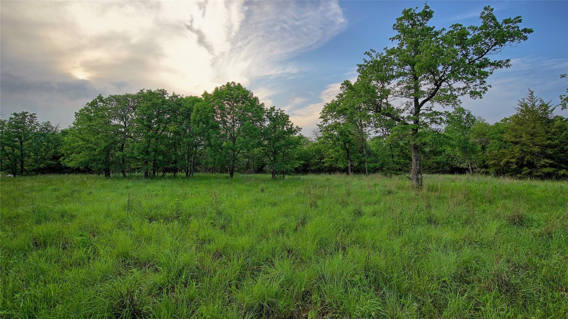 3 acres in Montague County - photo 39