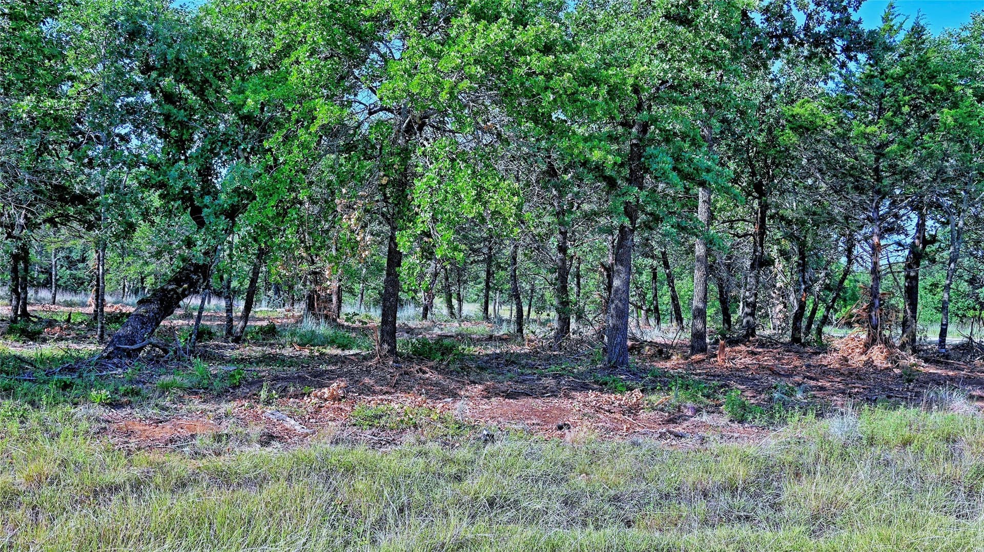 3 acres in Montague County - photo 34