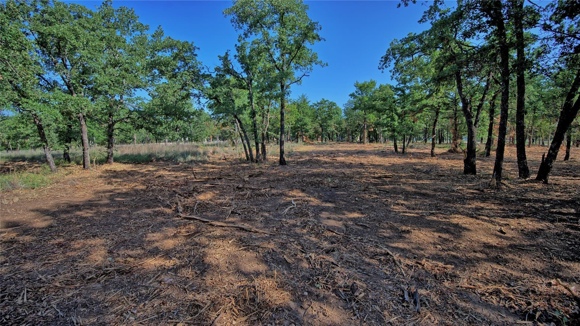 3 acres in Montague County - photo 11