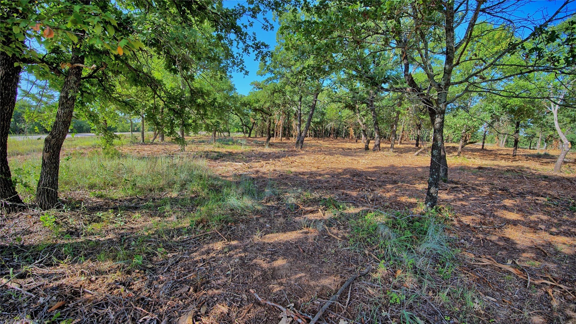 3 acres in Montague County - photo 10