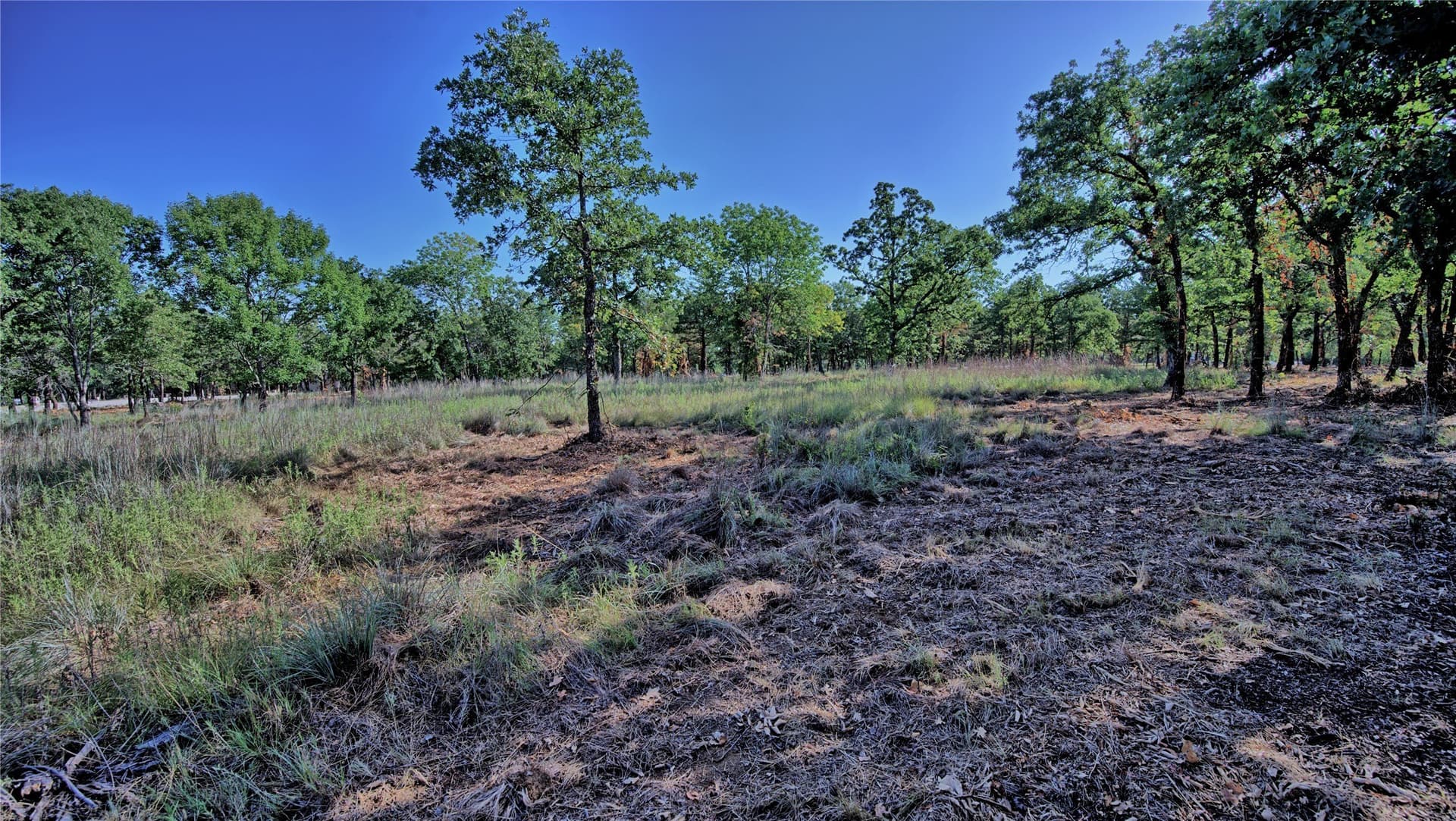 3 acres in Montague County - photo 33